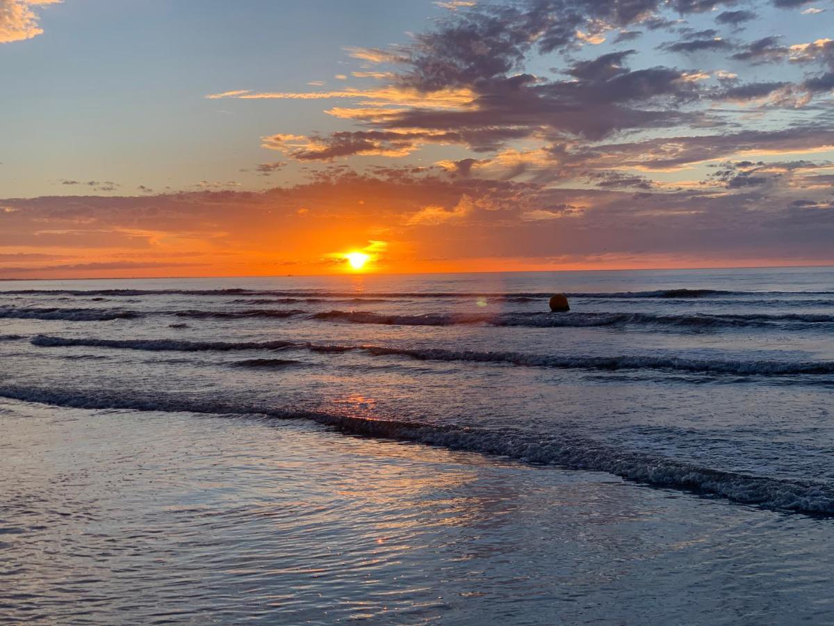 La Nacre - Logement De Charme - Cabourg Buitenkant foto